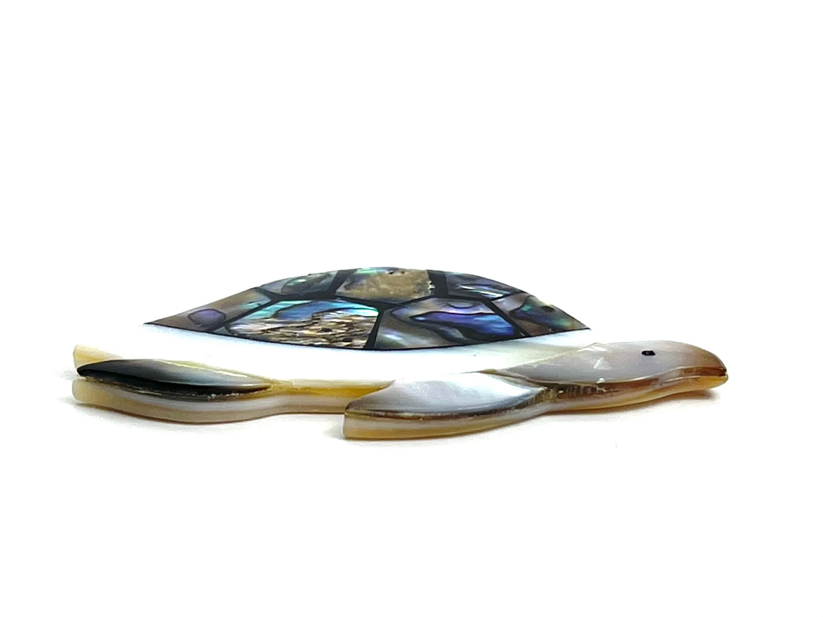 Abalone Turtle, Sku#M801