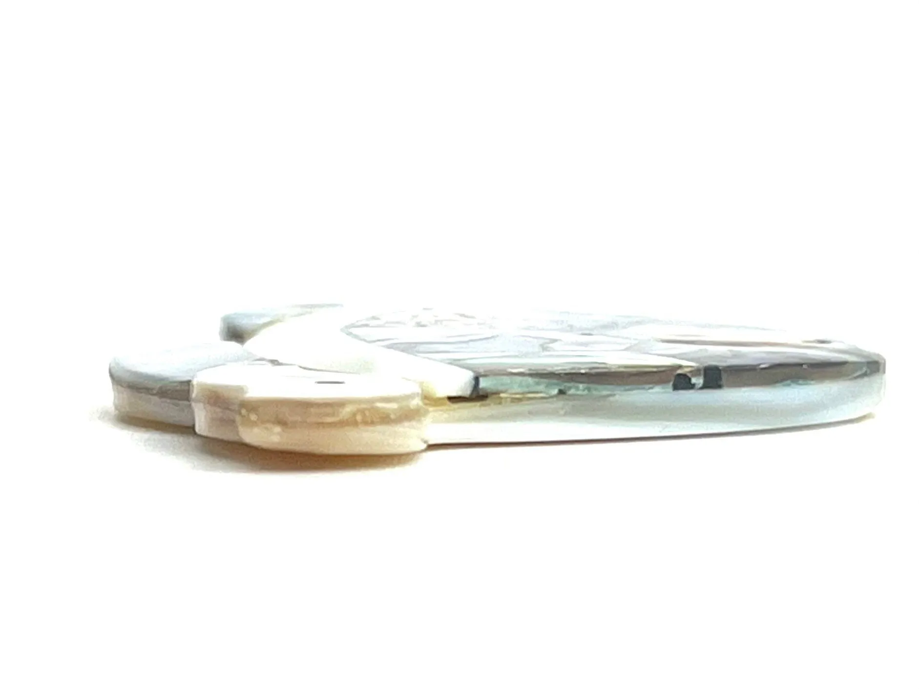 Abalone Turtle, Sku#M801