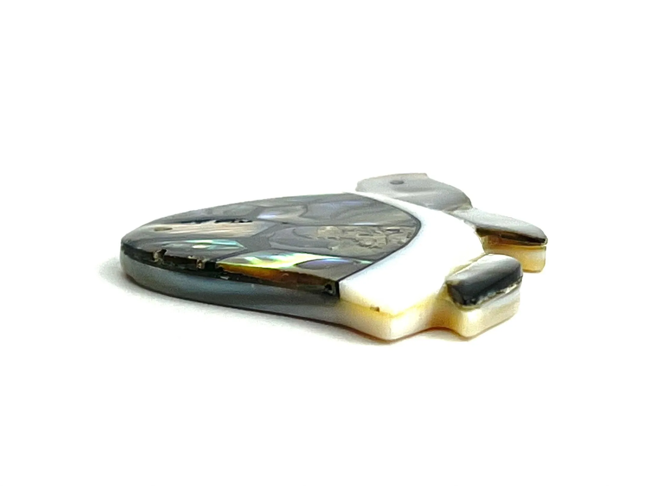Abalone Turtle, Sku#M801