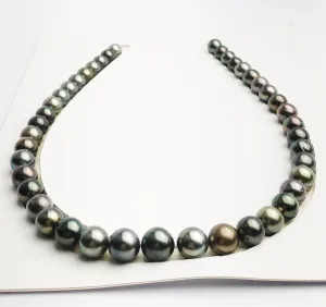 Loose Tahitian Pearls Set, Multicolor, Wholesale - Only 22 dollars per pearl - AA Quality (249)