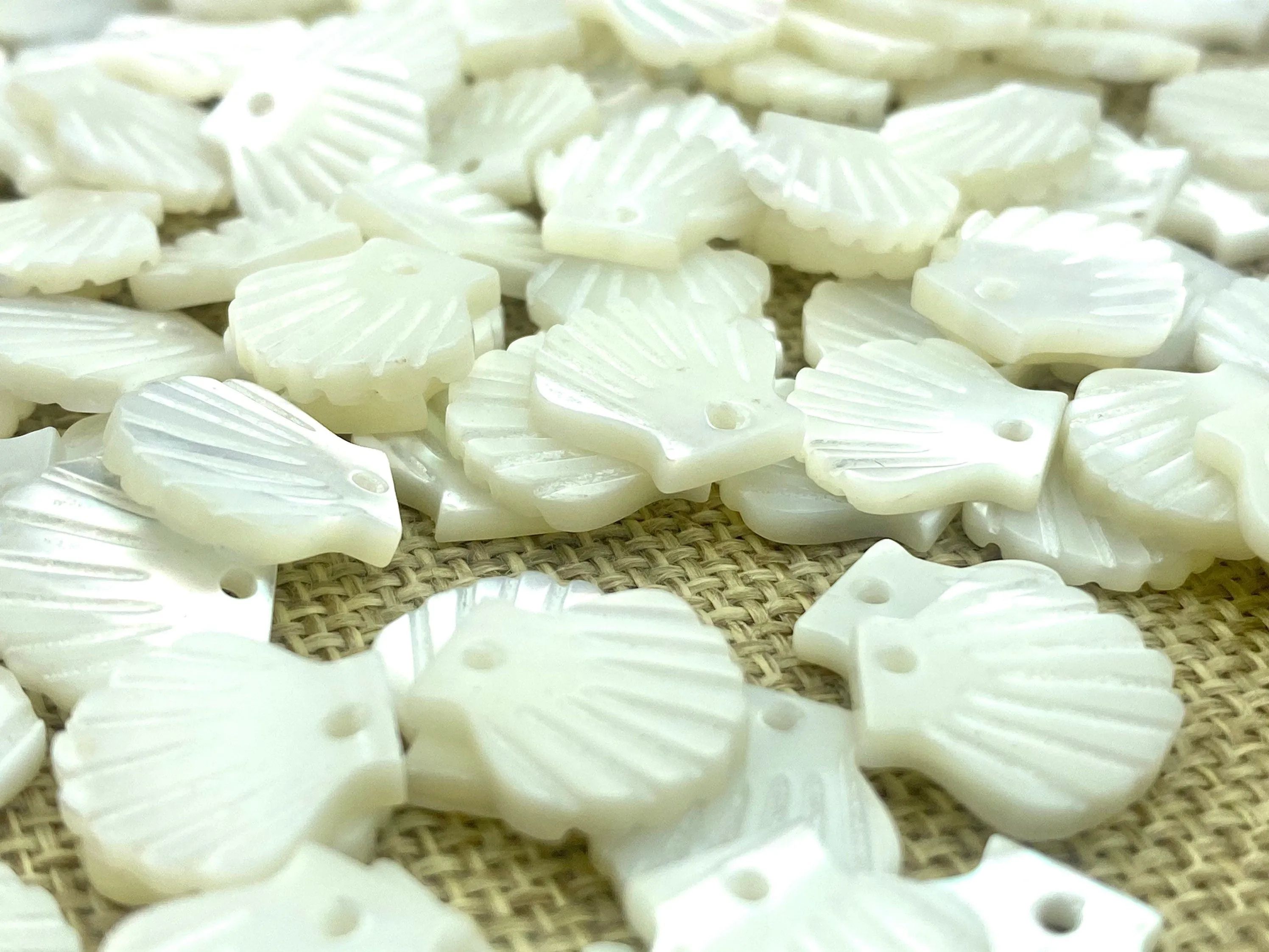 Mother Of Pearls Seashell Beads, Sku#M23